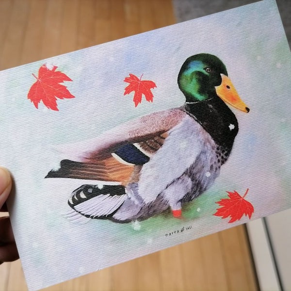 Picture 4 - The Bow Tie Duck Postcard