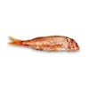 Thumbnail 1 - Fresh Red Mullet / Rouget Barbet from France