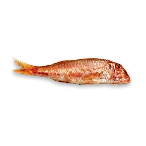 Fresh Red Mullet / Rouget Barbet from France