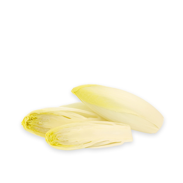 Fresh Endives from France
