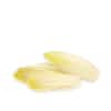 Thumbnail 1 - Fresh Endives from France