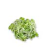 Thumbnail 1 - Future Fresh MG Salad Mix