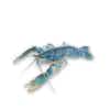 Thumbnail 1 - Fresh Crayfish (Écrevisse Vivante)