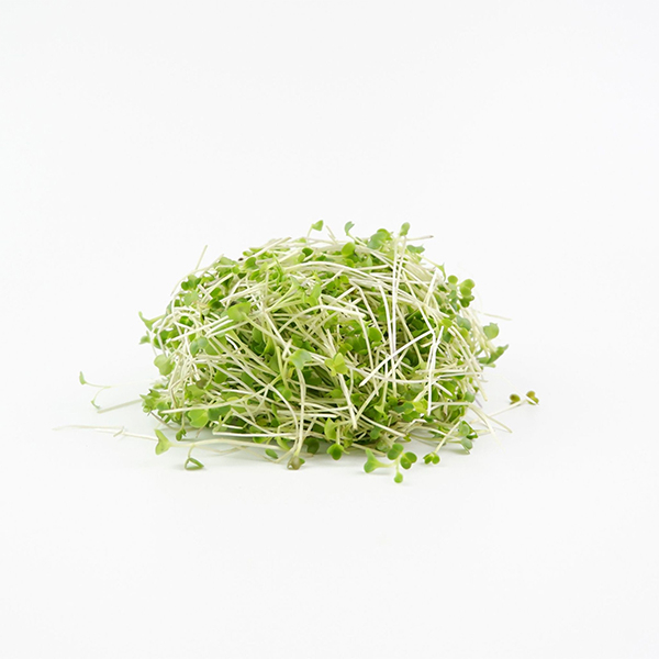 Thumbnail 2 - Future Fresh Gai Lan Microgreen
