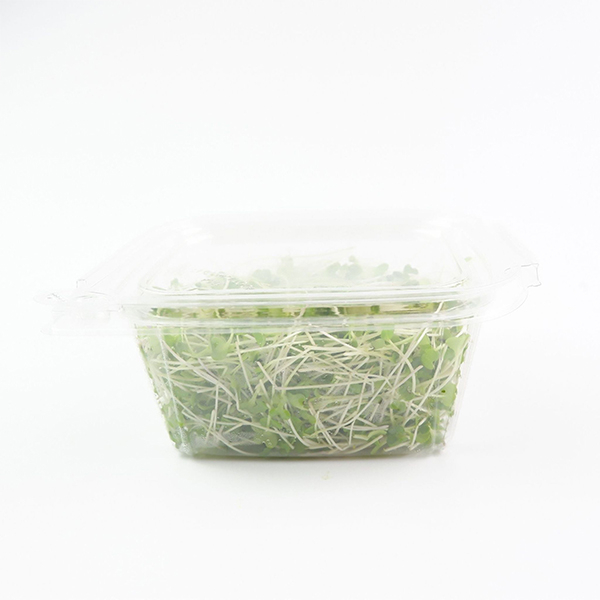 Thumbnail 3 - Future Fresh Gai Lan Microgreen