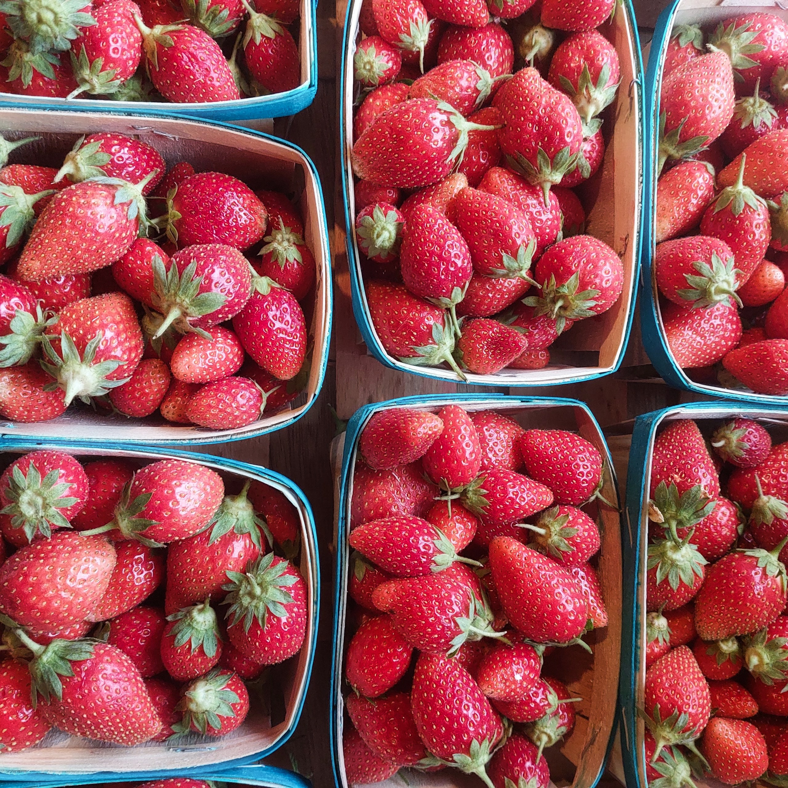 Thumbnail 2 - Ciflorette Strawberries from France