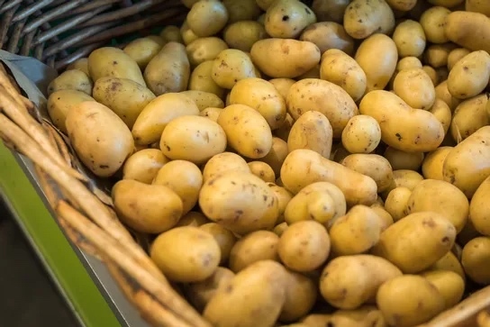 Thumbnail 2 - Mitraille Potatoes from France