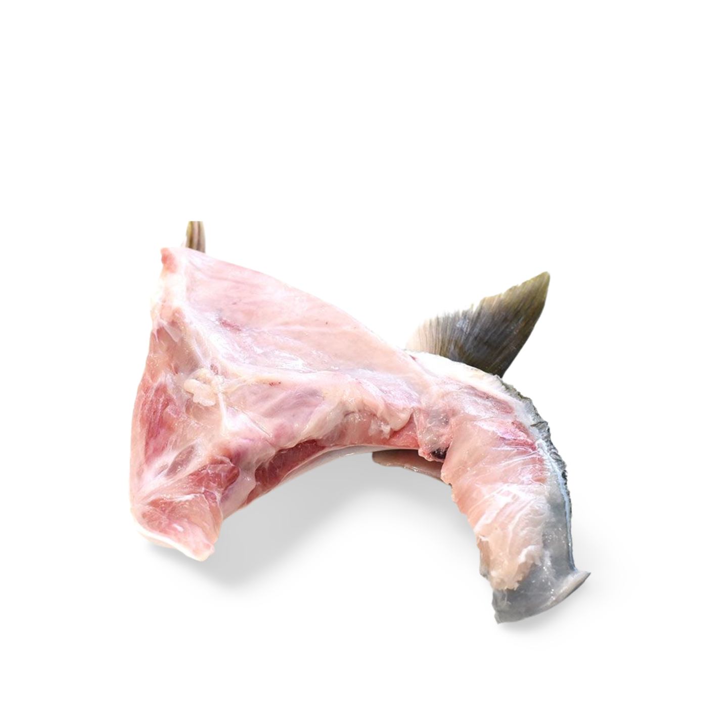 Youshoku Burikama (Yellowtail Collar/Hamachi Jaw) (Frozen)