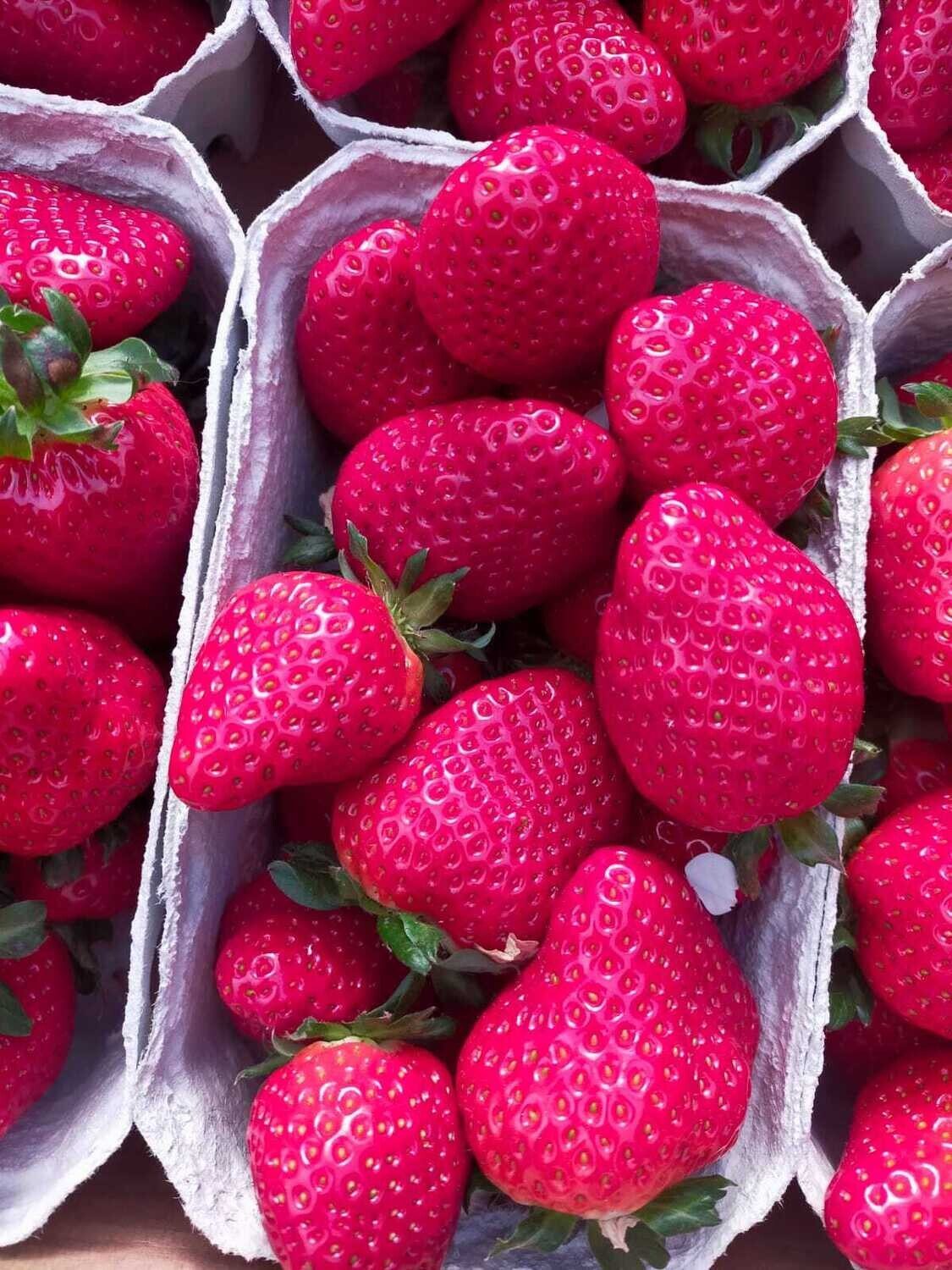 Thumbnail 3 - Fresh Dream Strawberry