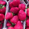 Thumbnail 3 - Fresh Dream Carpentras Strawberry