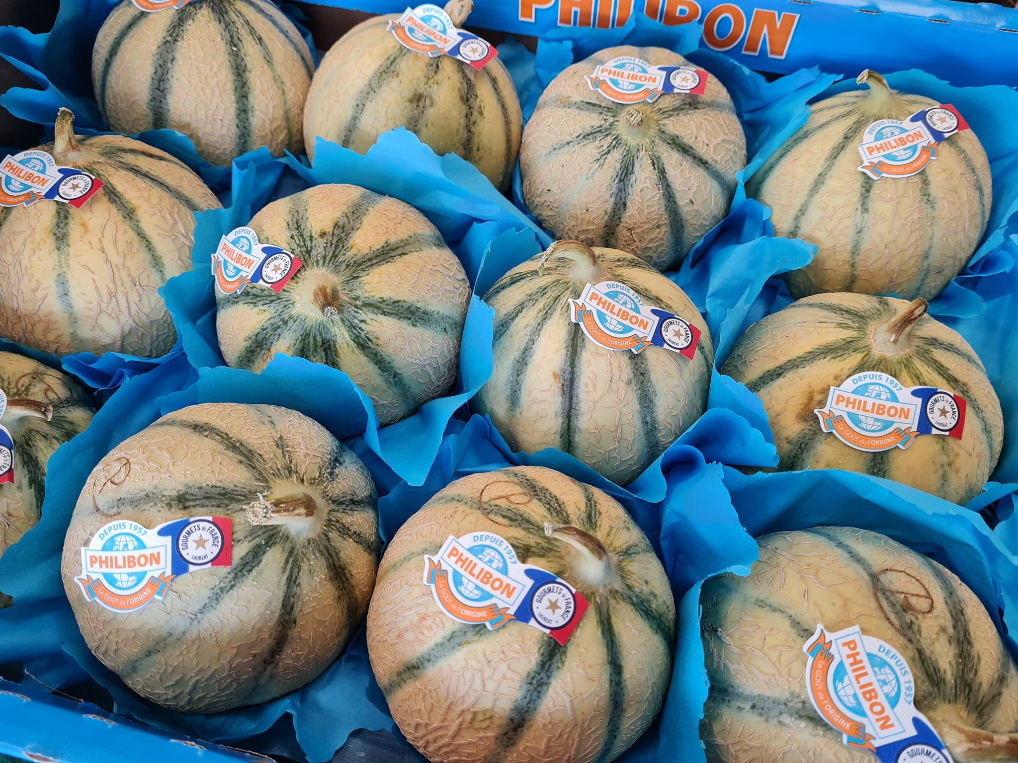 Thumbnail 2 - The Famous Charentais Melon