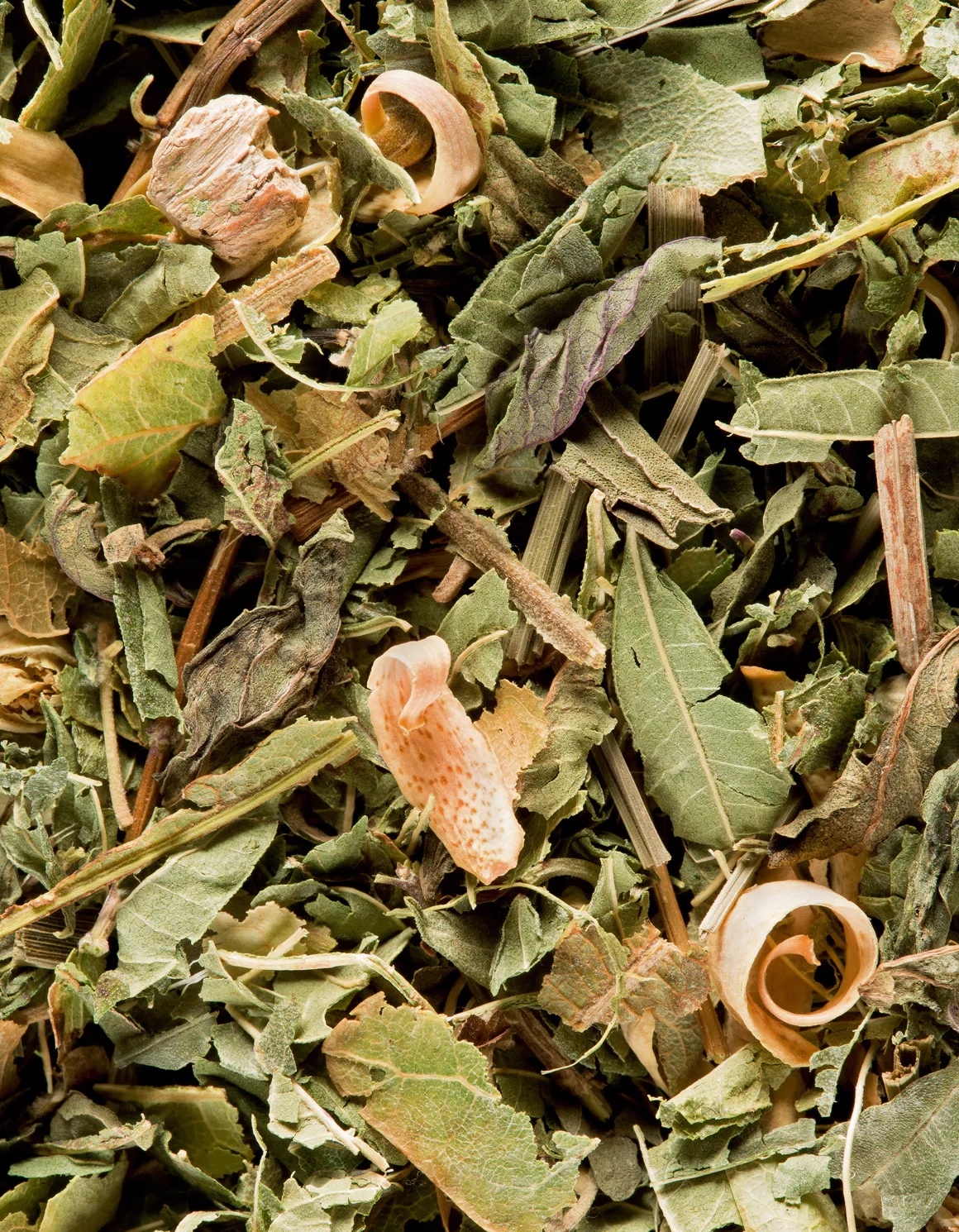 Thumbnail 2 - Dammann Frères Tisane du Berger Herbal Infusion Tea Bags