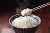 Thumbnail 2 - Koshihikari (Japanese Milled Rice)