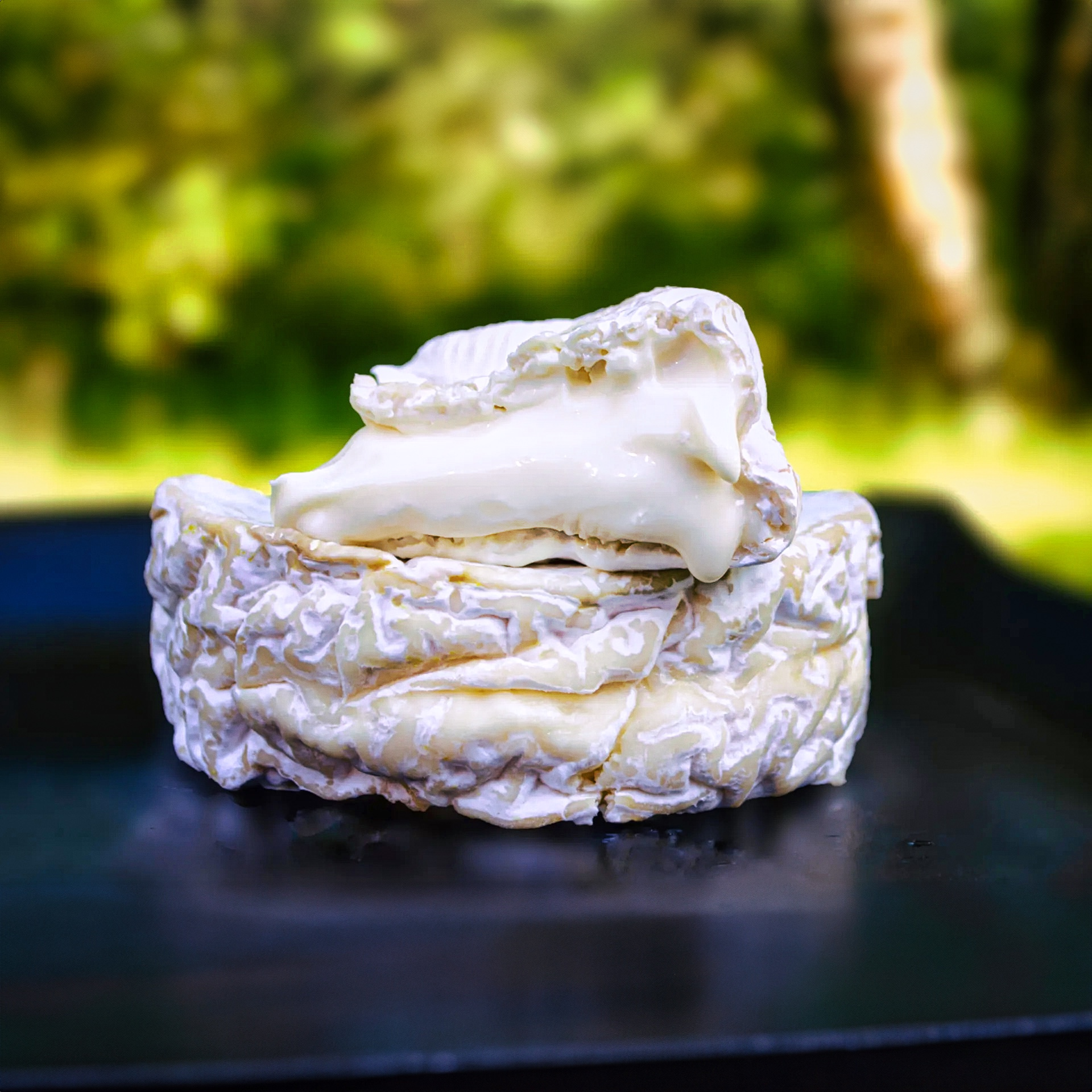 Thumbnail 2 - Les 5 Frères Farmhouse Camembert from Normandie