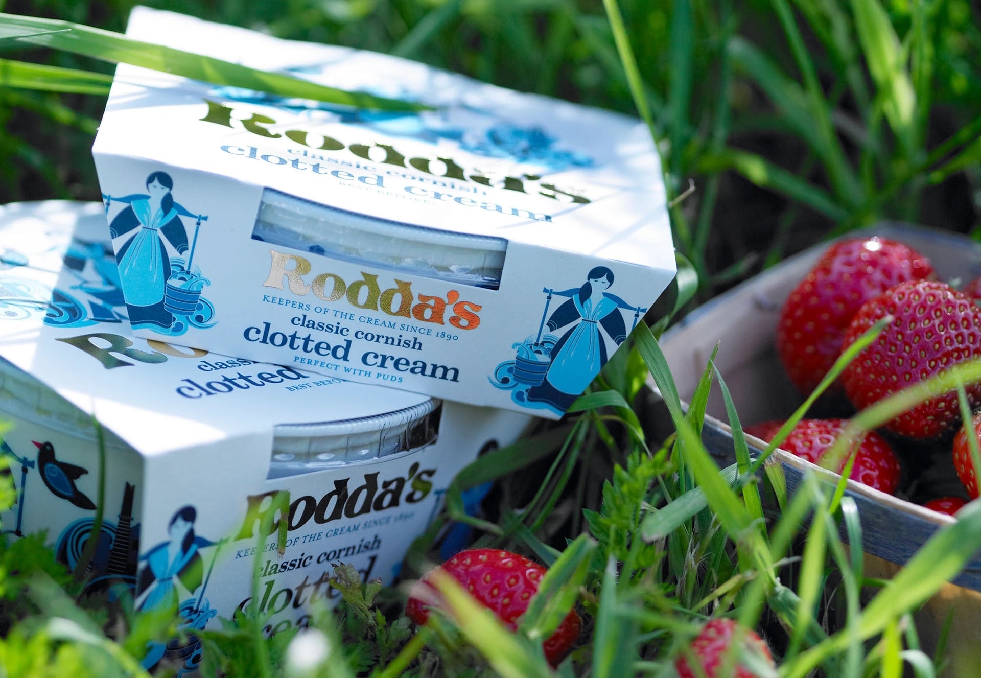 Thumbnail 4 - Rodda’s Cornish Clotted Cream PDO