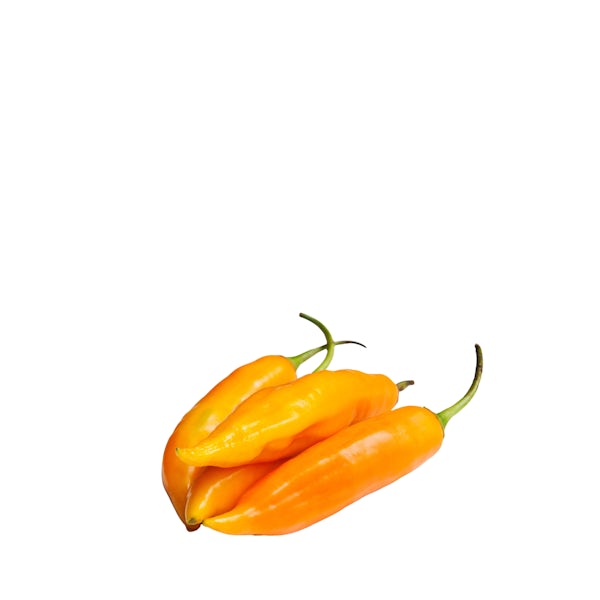 Picture 2 - Aji Amarillo (Sweet Yellow Chili Pepper)