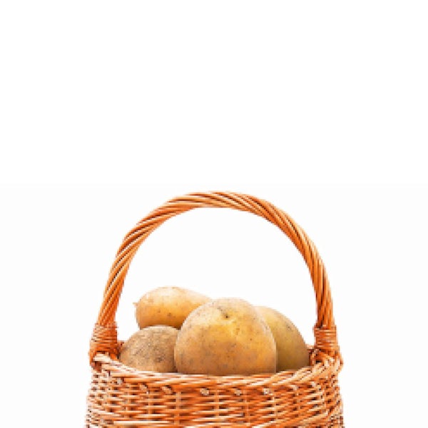 Picture 1 - La Bonnotte Potato