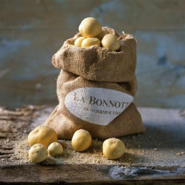 Picture 2 - La Bonnotte Potato