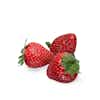 Thumbnail 1 - Fresh Dream Carpentras Strawberry