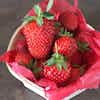 Thumbnail 2 - Fresh Dream Carpentras Strawberry