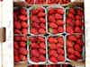 Thumbnail 1 - Fresh Gariguette Strawberries from France