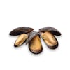 Thumbnail 1 - Fresh Mussels from Holland