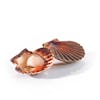Thumbnail 1 - Fresh Scallops St. Jacques from France