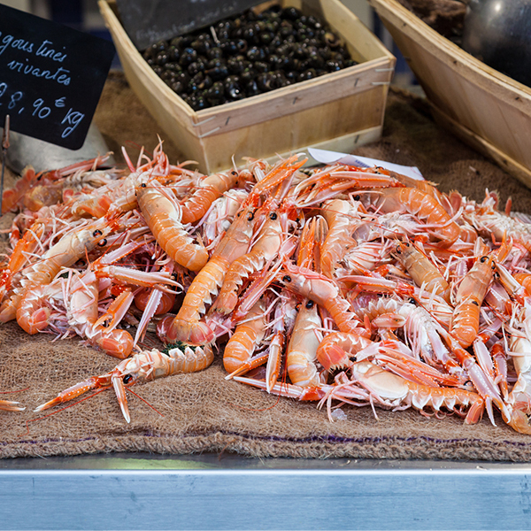 Thumbnail 2 - Fresh Scampi (Langoustine)