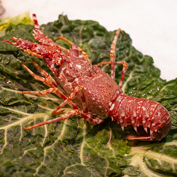 Thumbnail 2 - Fresh Spiny Lobster (Langouste Rouge Royale from France)