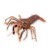 Thumbnail 1 - Fresh Spiny Lobster (Langouste Rouge Royale from France)