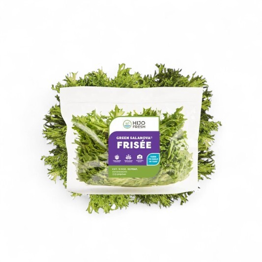 Green Salanova Frisée Lettuce by Hijo Fresh