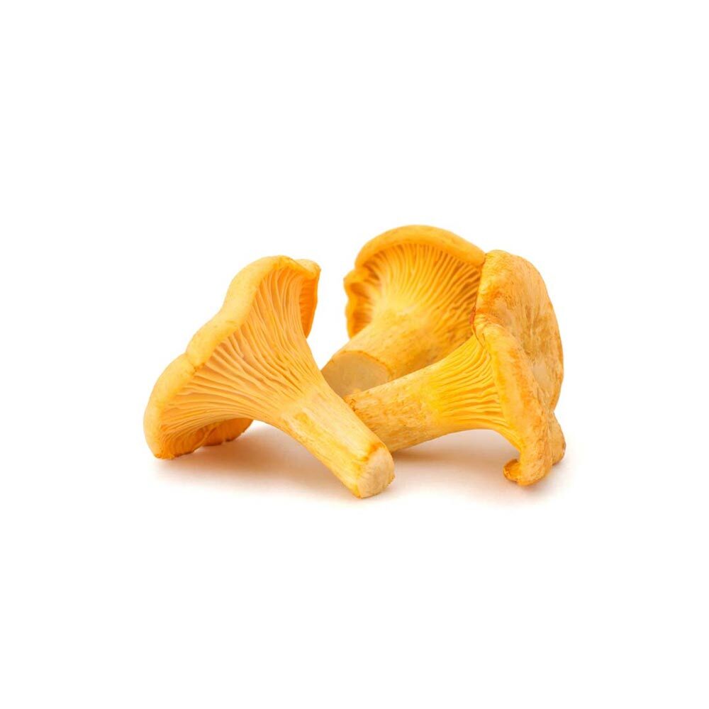 Fresh Chanterelles from France