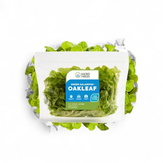 Green Salanova Oakleaf Lettuce by Hijo Fresh