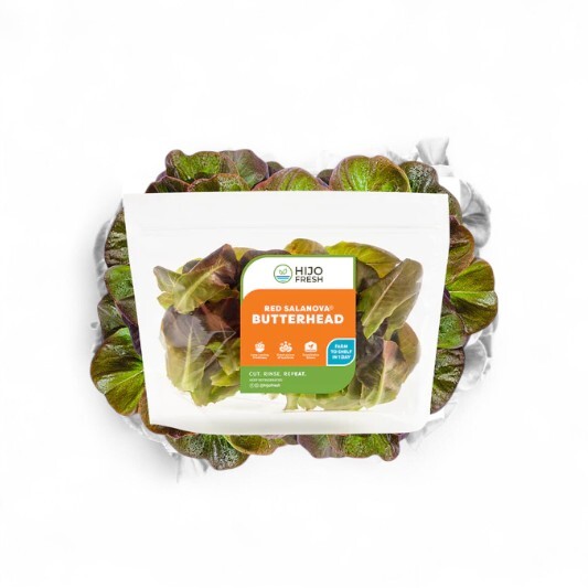 Red Salanova Butterhead Lettuce by Hijo Fresh