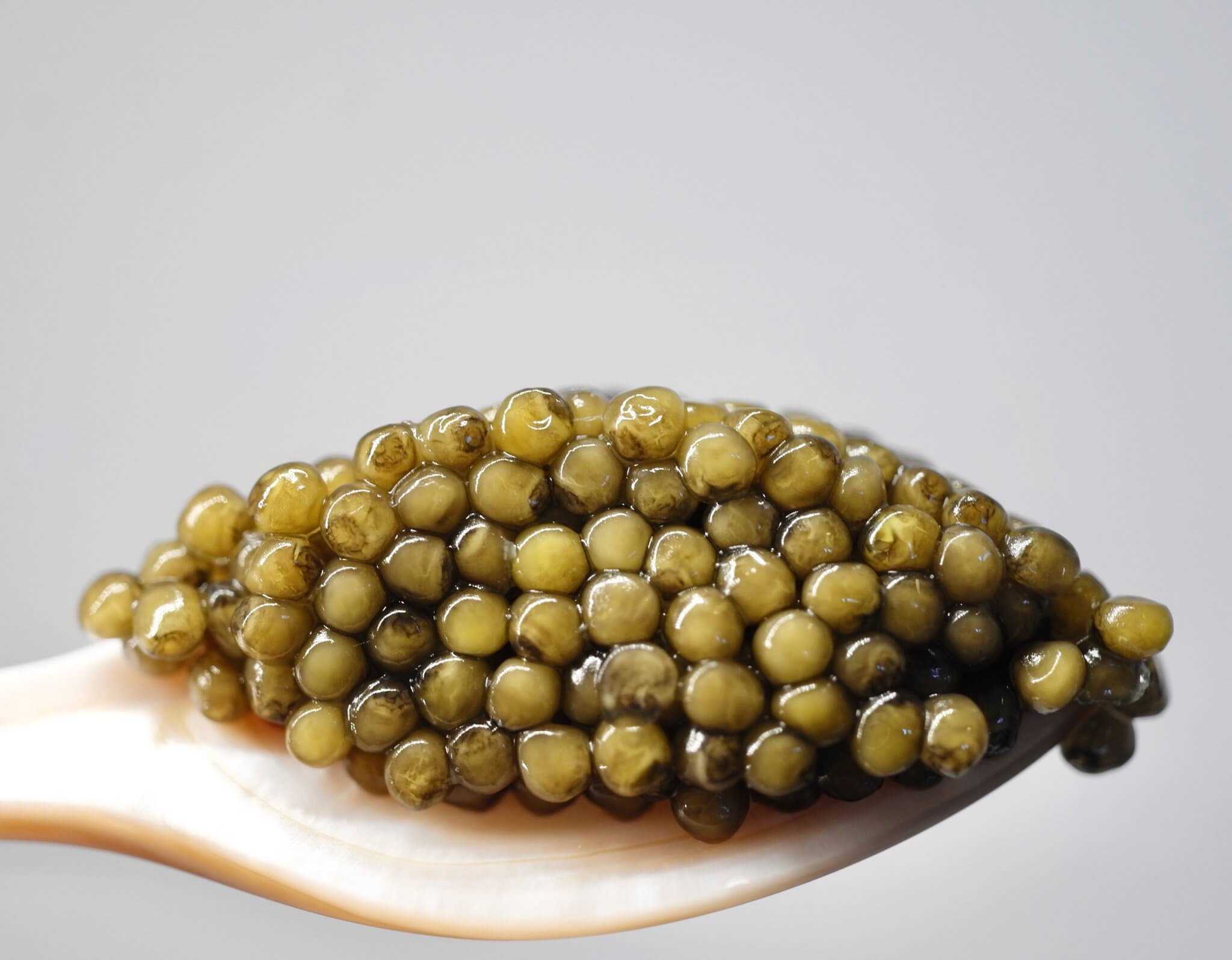 Thumbnail 3 - Caspian Monarque Iranian Beluga Privé Caviar