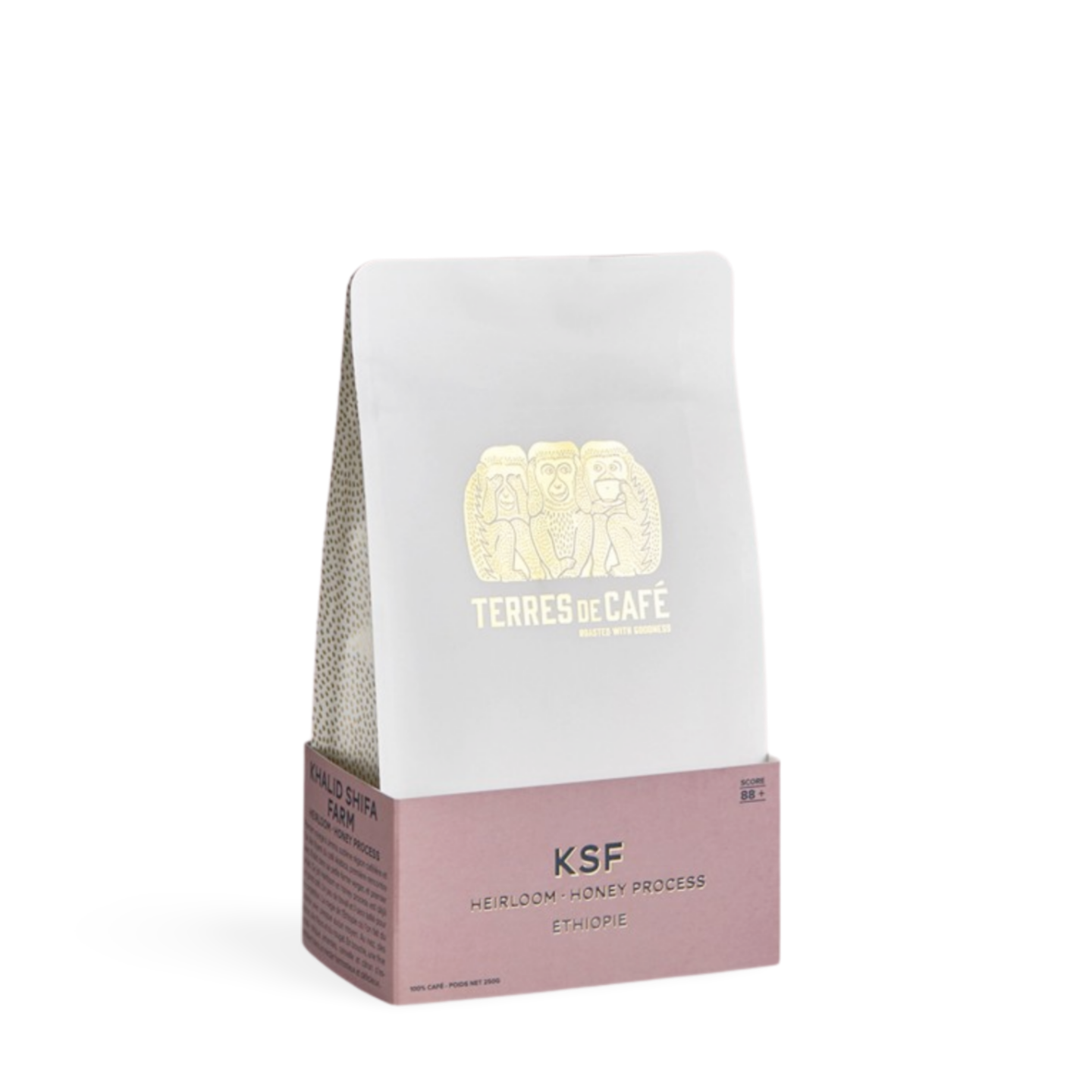 88+ Ethiopia KSF Honey Processed Grand Cru by Terres de Café (Organic)