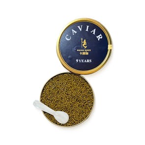 Kaluga Queen 9 Years Sturgeon Caviar
