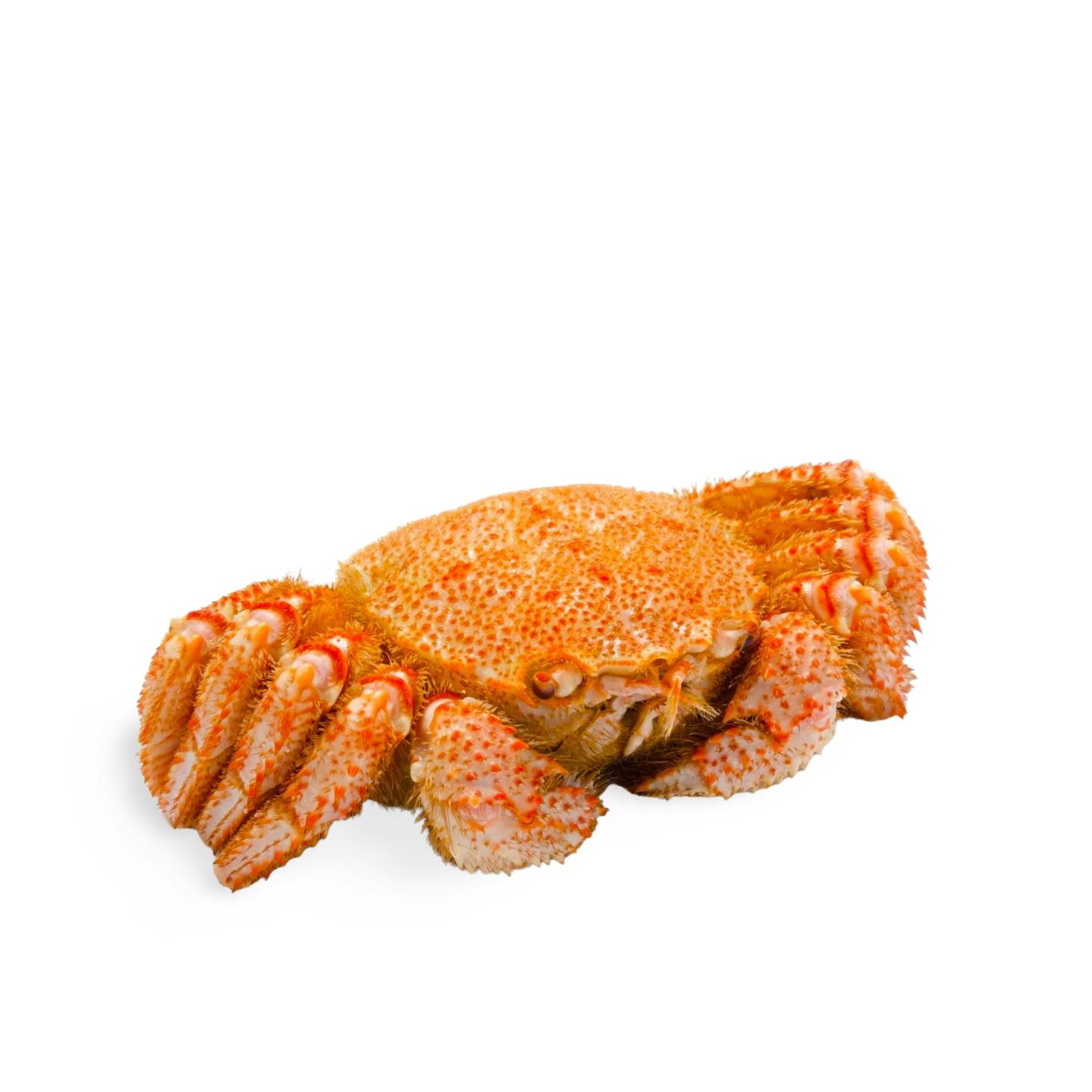 are there crabs in hokkaido