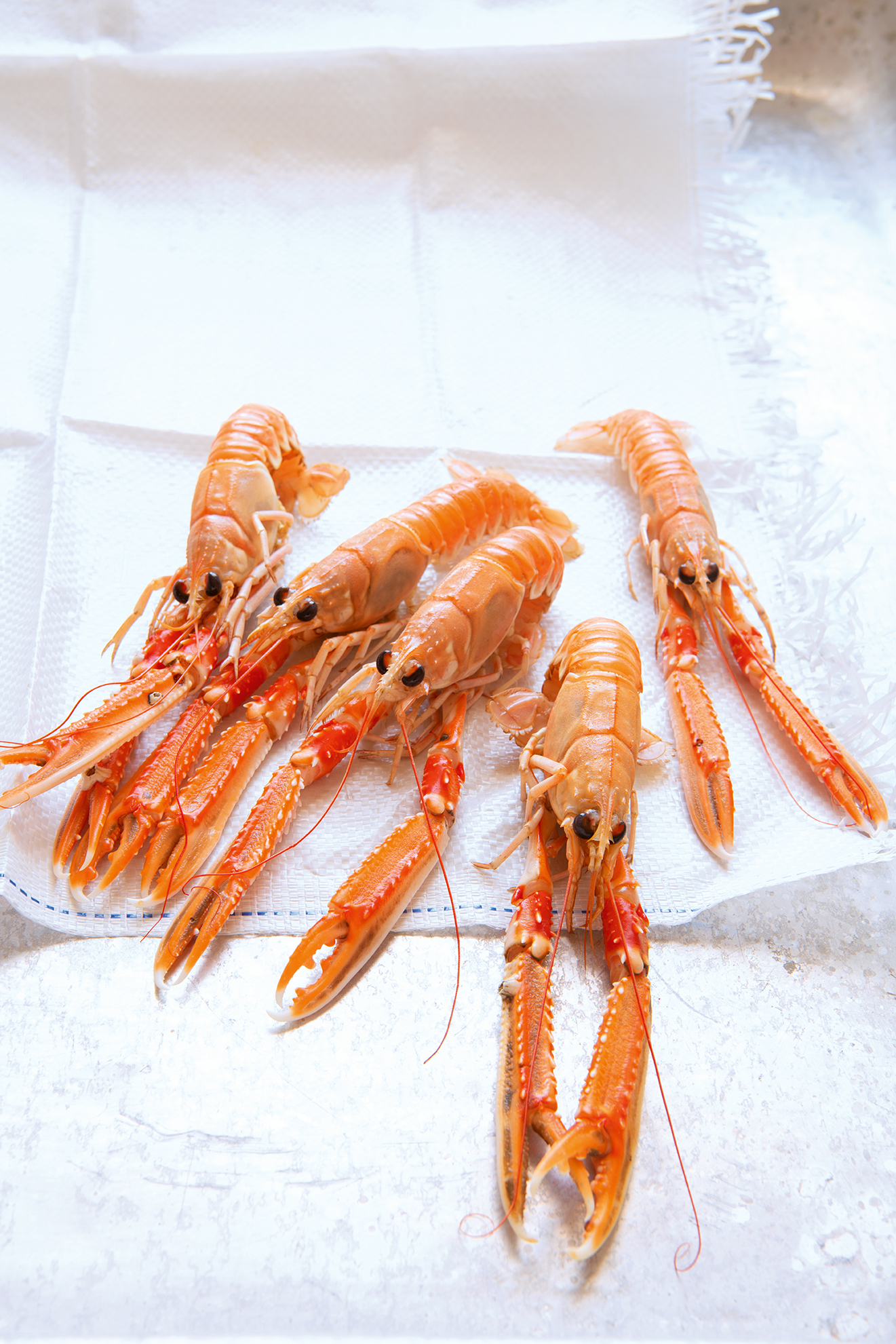 Thumbnail 2 - Frozen Big Scampi (Langoustines)