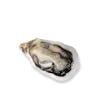 Thumbnail 1 - Live French Fine de Claire Geay Oysters