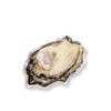 Thumbnail 1 - Live French Speciales Geay Oysters