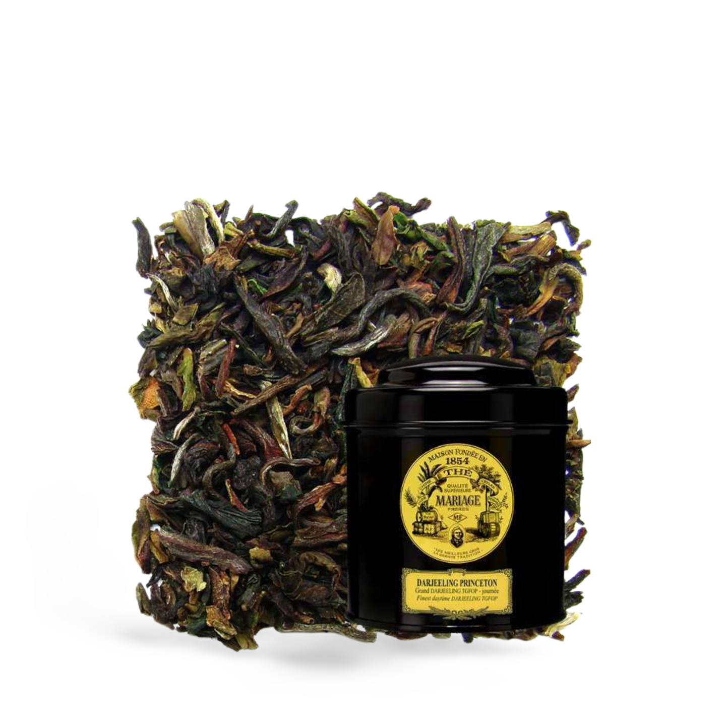 Mariage Frères Darjeeling Princeton Tea