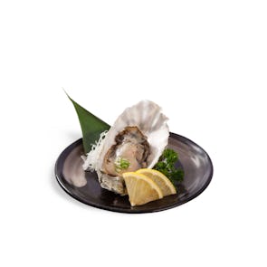 Nama Kaki Fuga (Sashimi Grade Whole Shell Oyster)