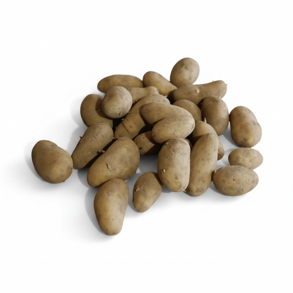 Grenaille Starlette / Maldive Potatoes