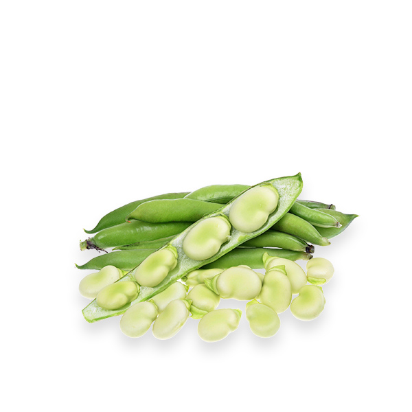Pasfrost Faba Beans (Frozen)