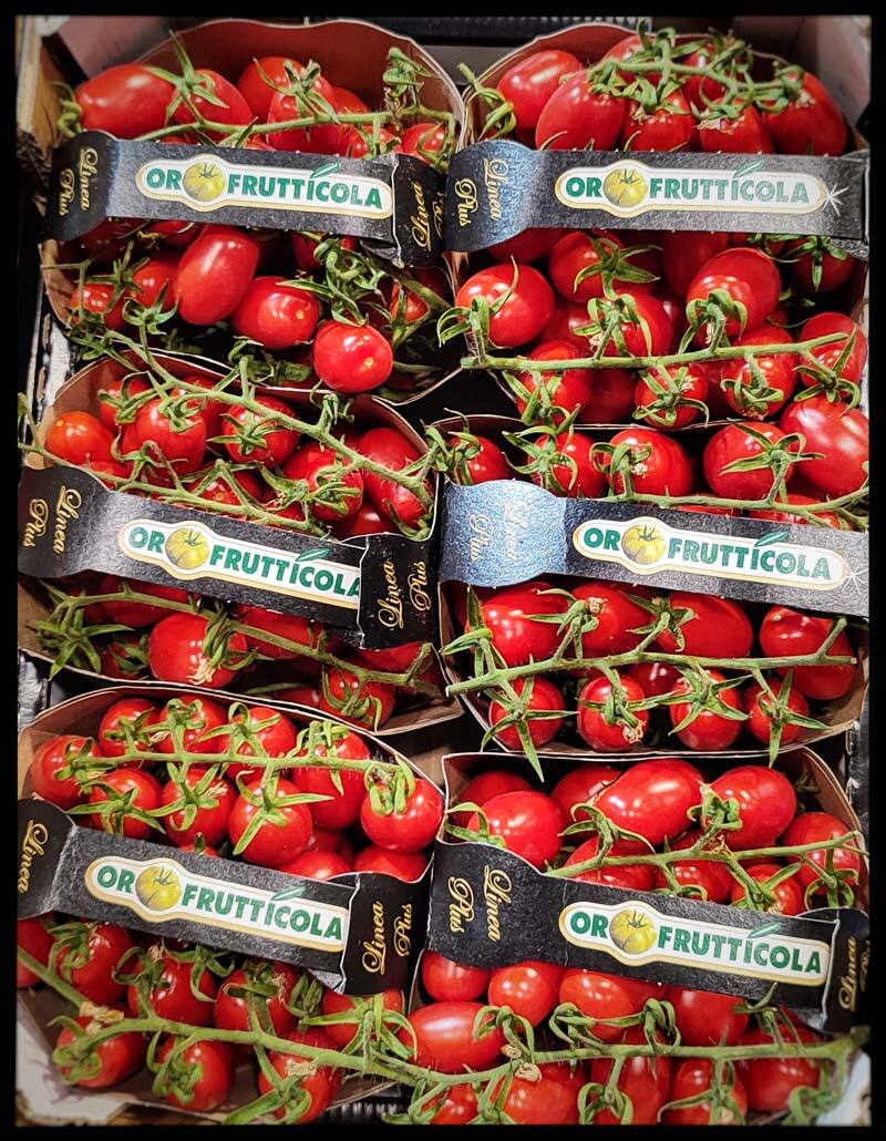 Thumbnail 2 - Datterino Cherry Tomatoes