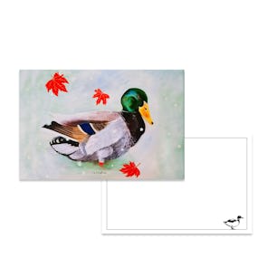 The Bow Tie Duck Postcard
