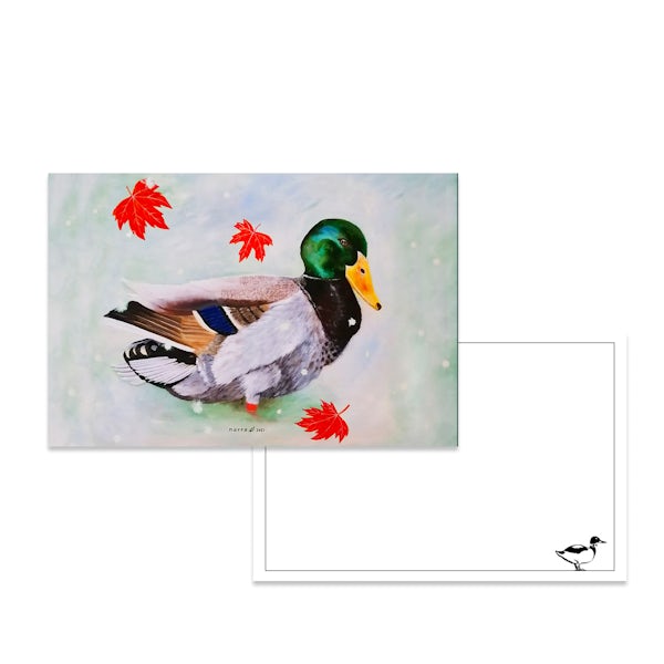 Picture 1 - The Bow Tie Duck Postcard