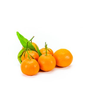 Fresh Corsican Clementines from France