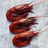 Thumbnail 2 - Frozen Carabineros Prawns from Spain